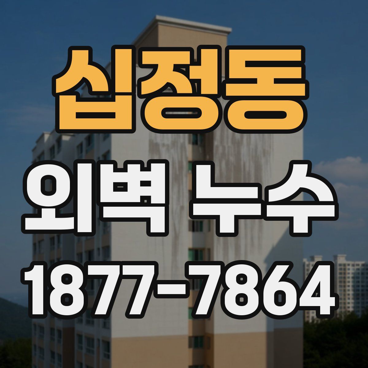 십정동 외벽 누수