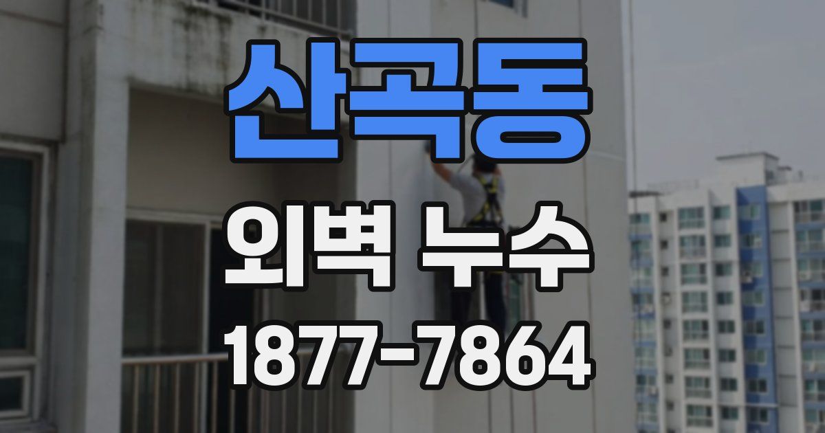 산곡동 외벽 누수