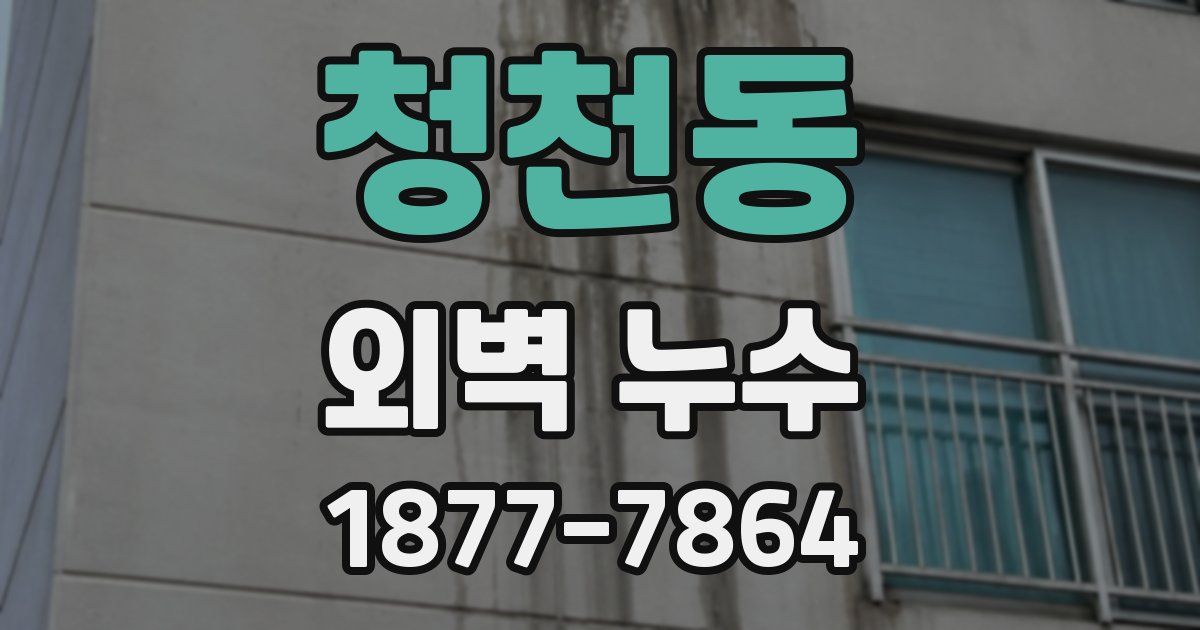 청천동 외벽 누수
