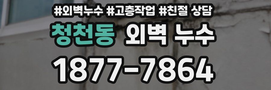 청천동 외벽 누수