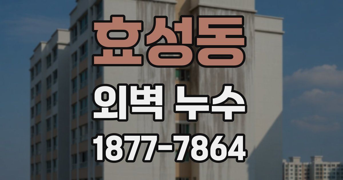 효성동 외벽 누수