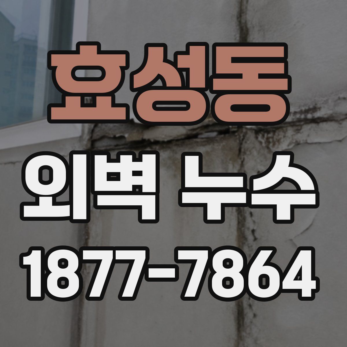 효성동 외벽 누수