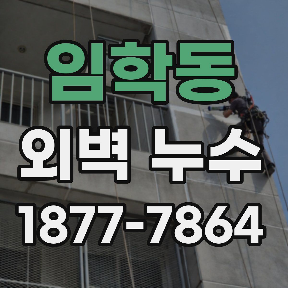 임학동 외벽 누수