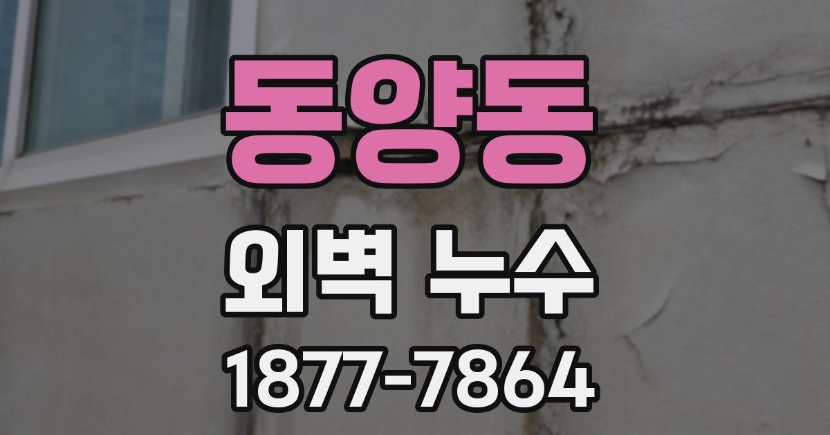 동양동 외벽 누수