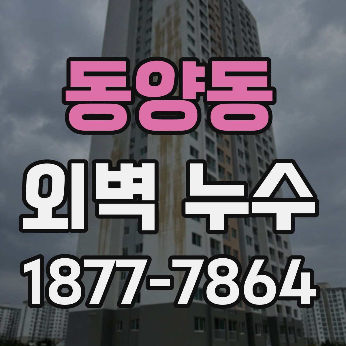 동양동 외벽 누수