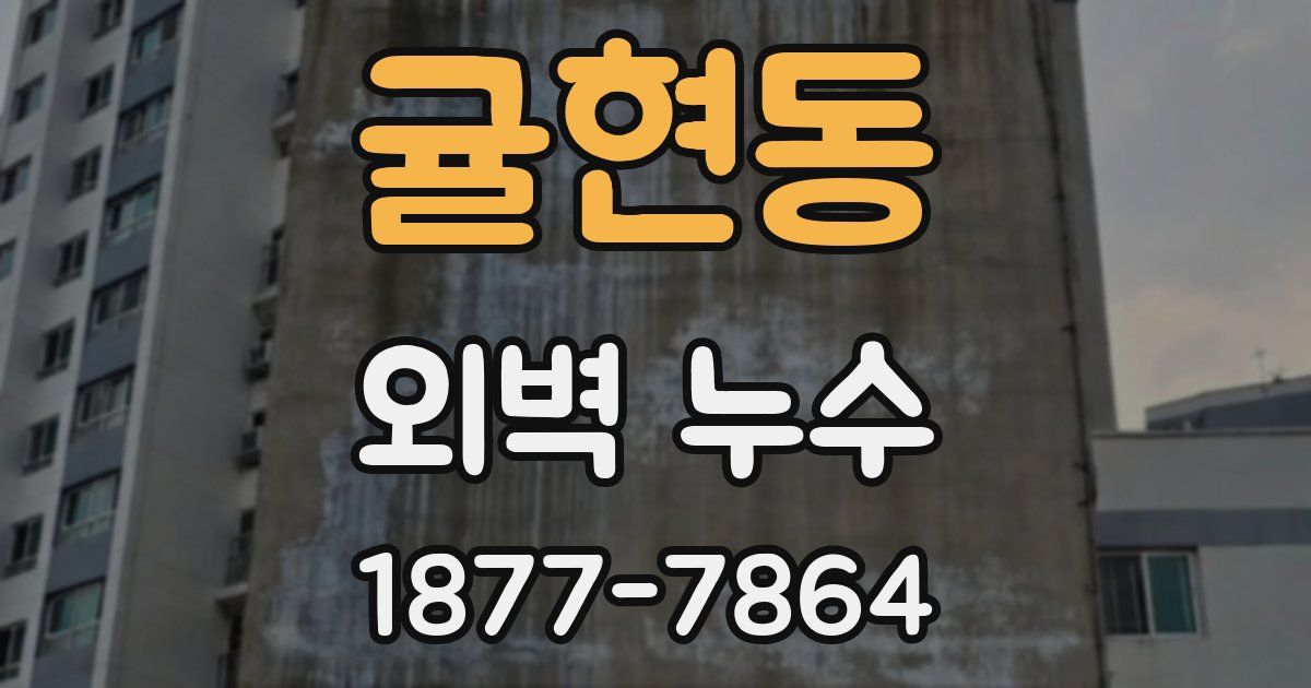 귤현동 외벽 누수