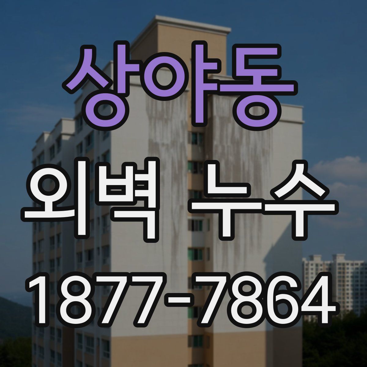 상야동 외벽 누수