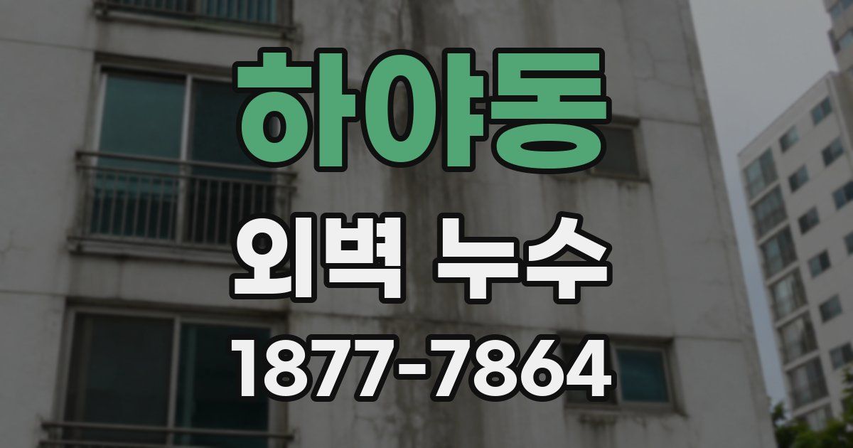 하야동 외벽 누수