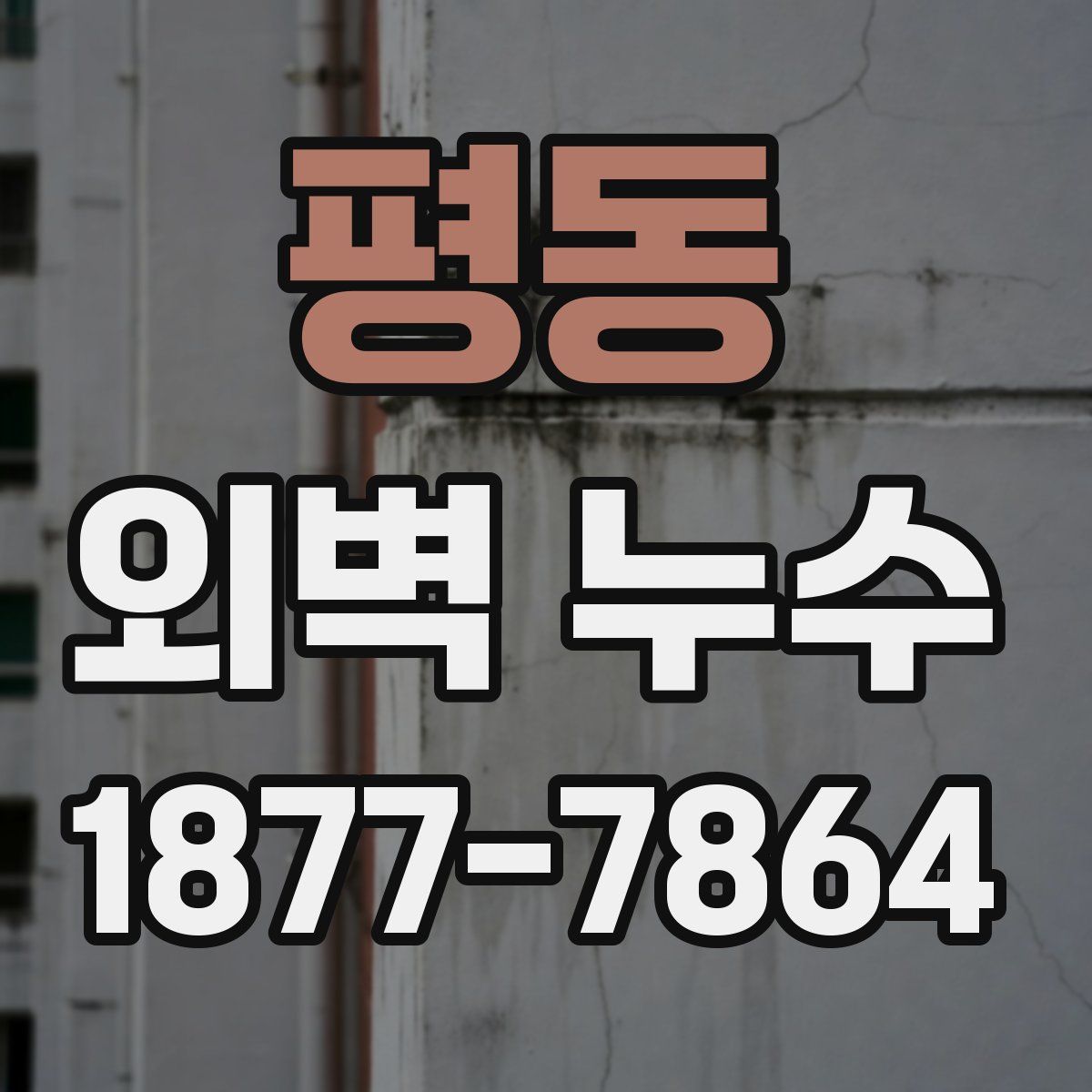 평동 외벽 누수