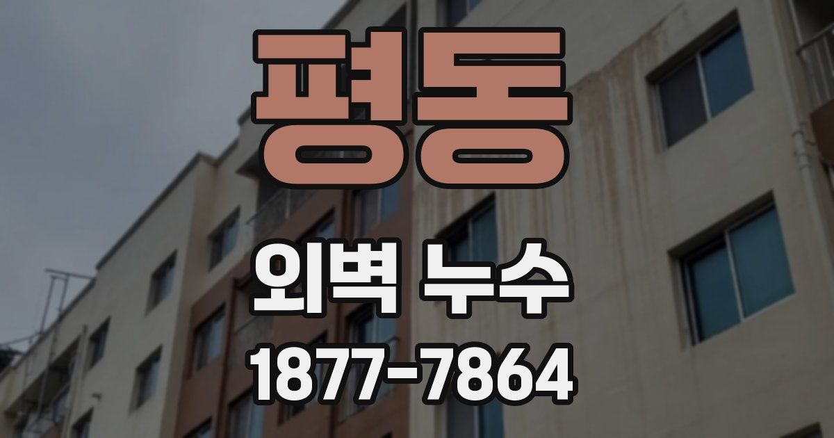 평동 외벽 누수