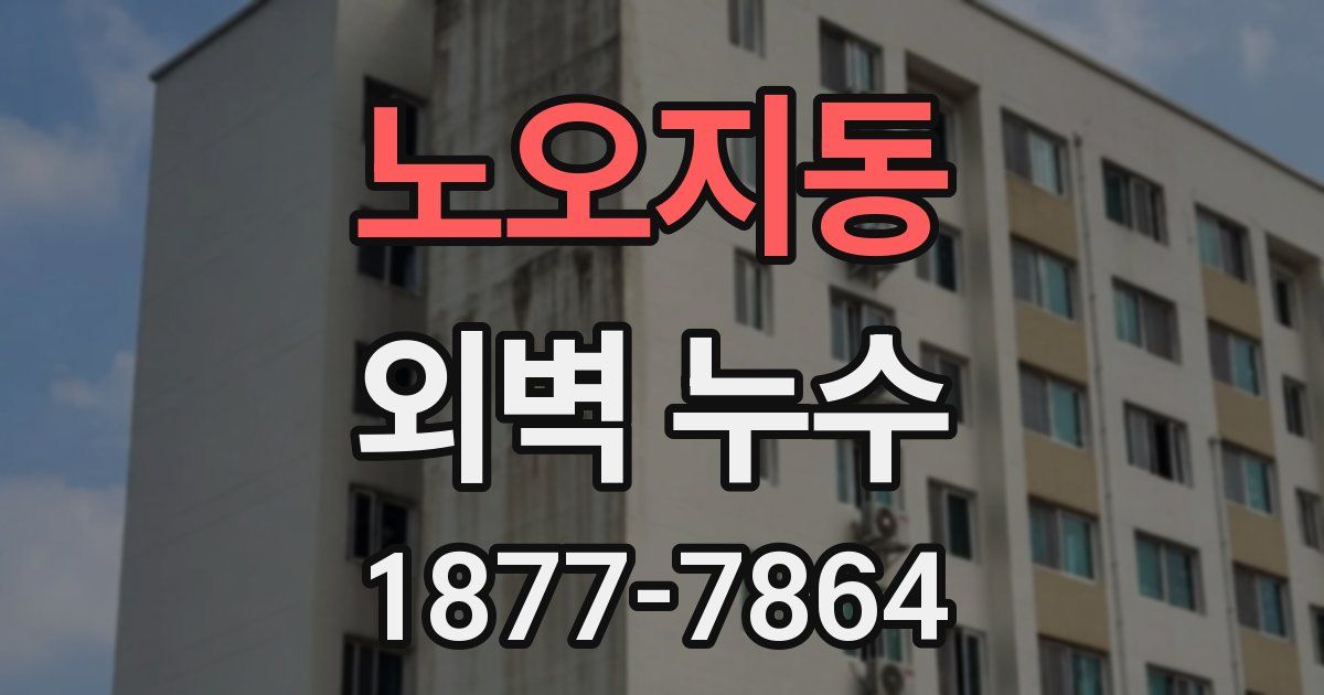 노오지동 외벽 누수
