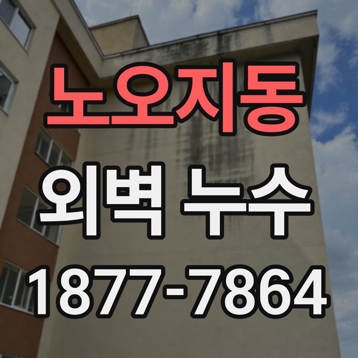 노오지동 외벽 누수