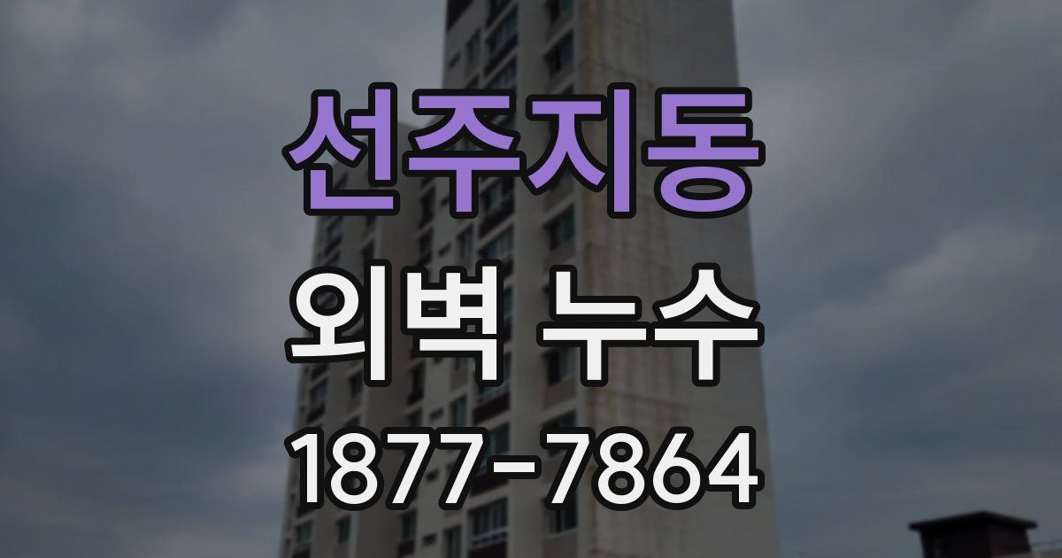 선주지동 외벽 누수