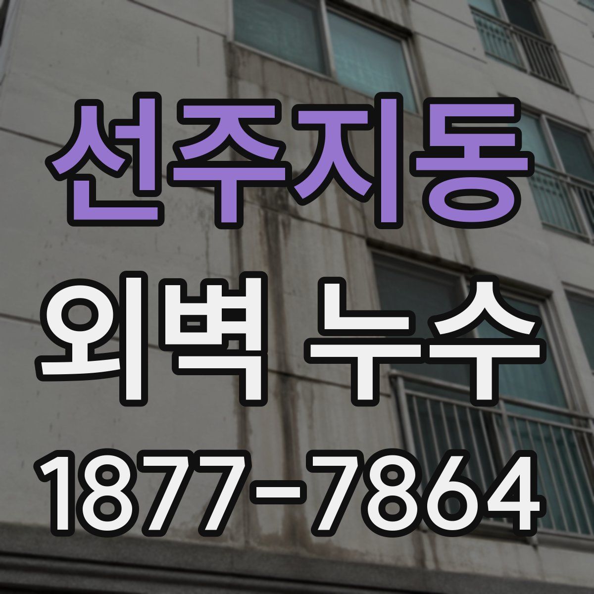 선주지동 외벽 누수