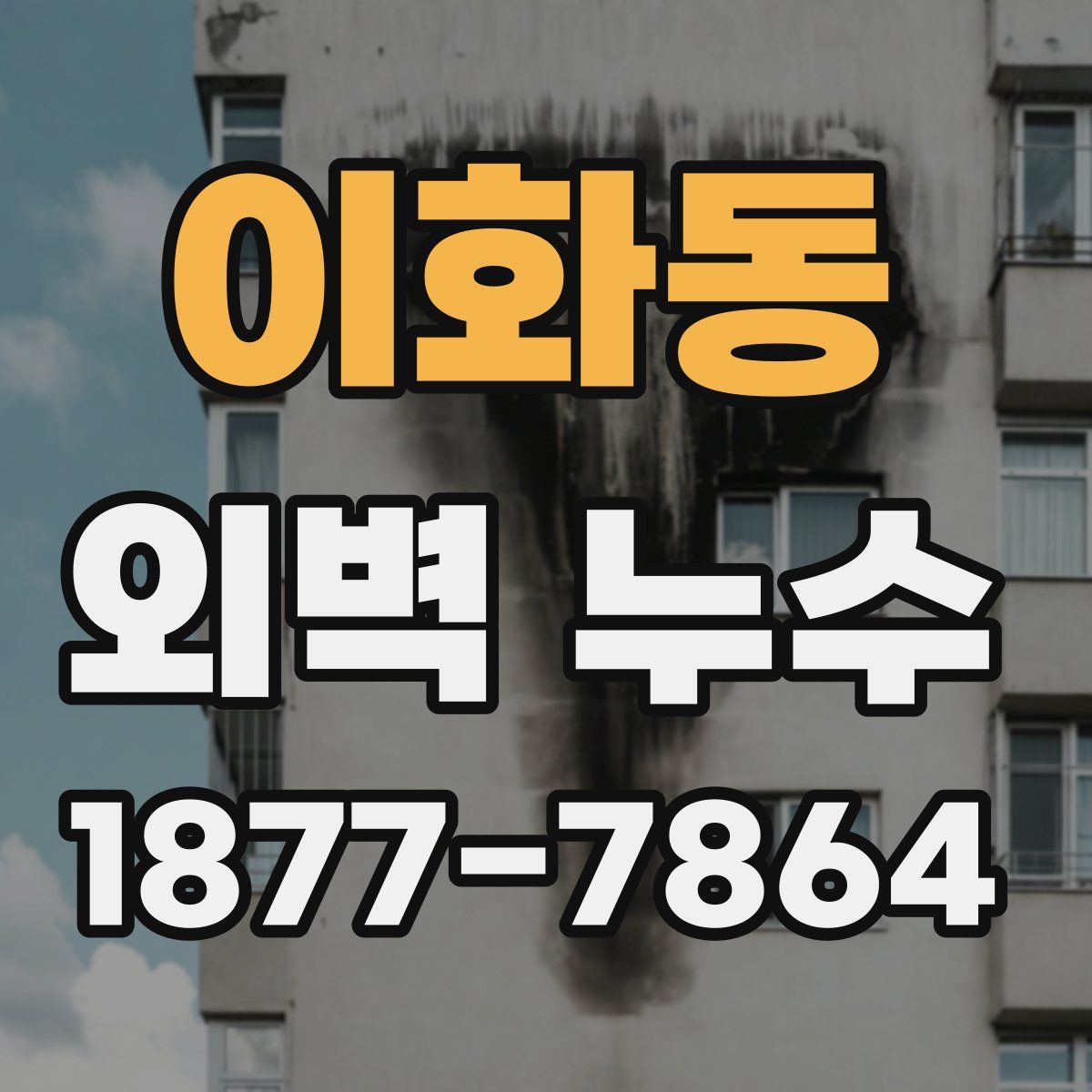 이화동 외벽 누수