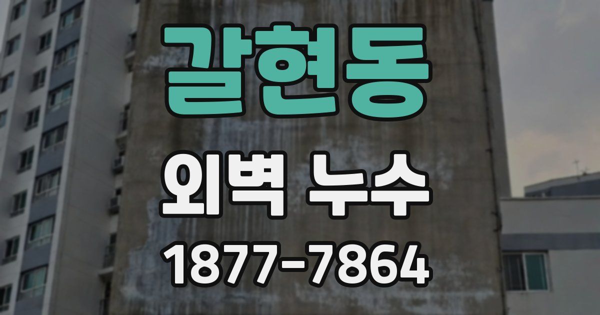 갈현동 외벽 누수