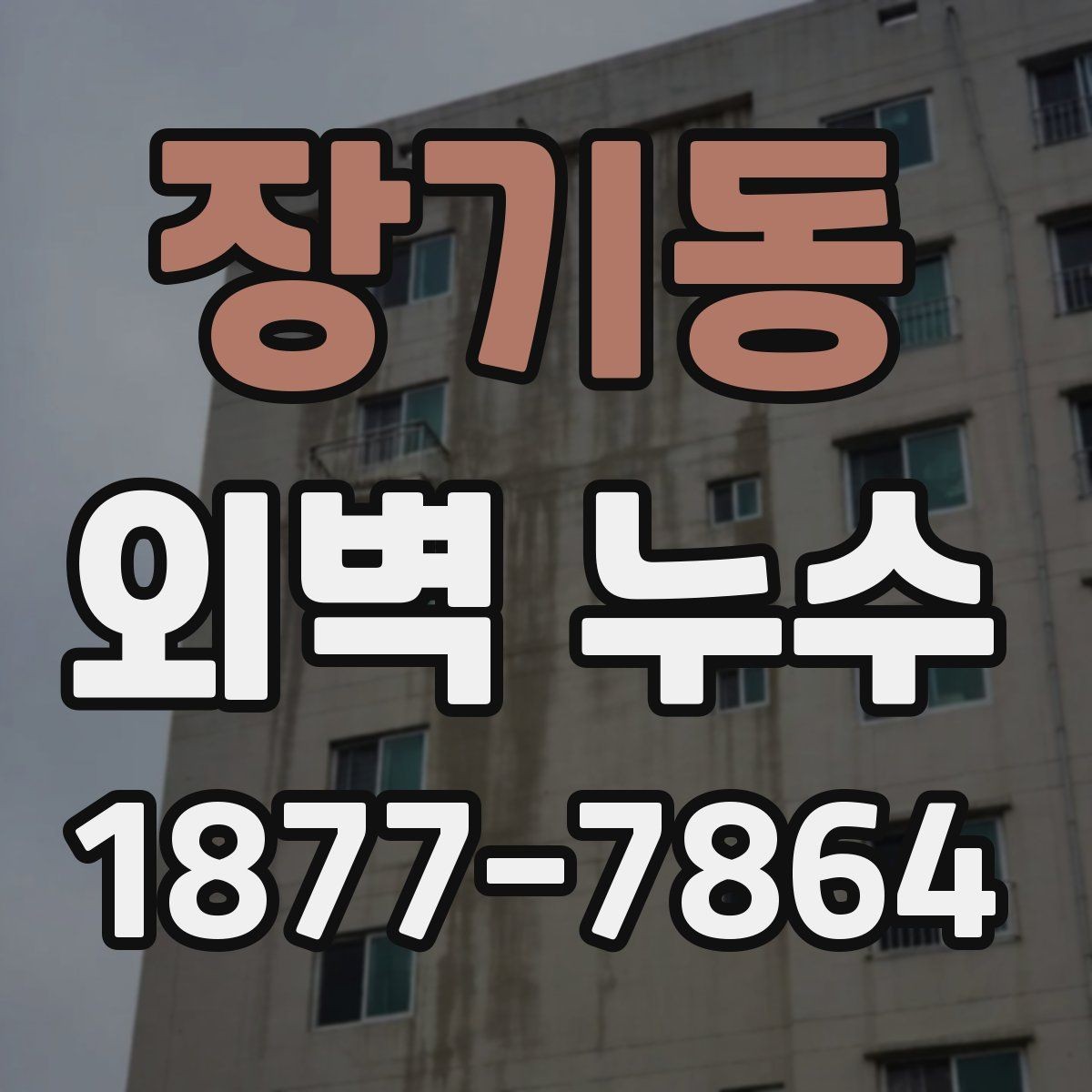 장기동 외벽 누수 보수 범위를 정할 때 주의할 점