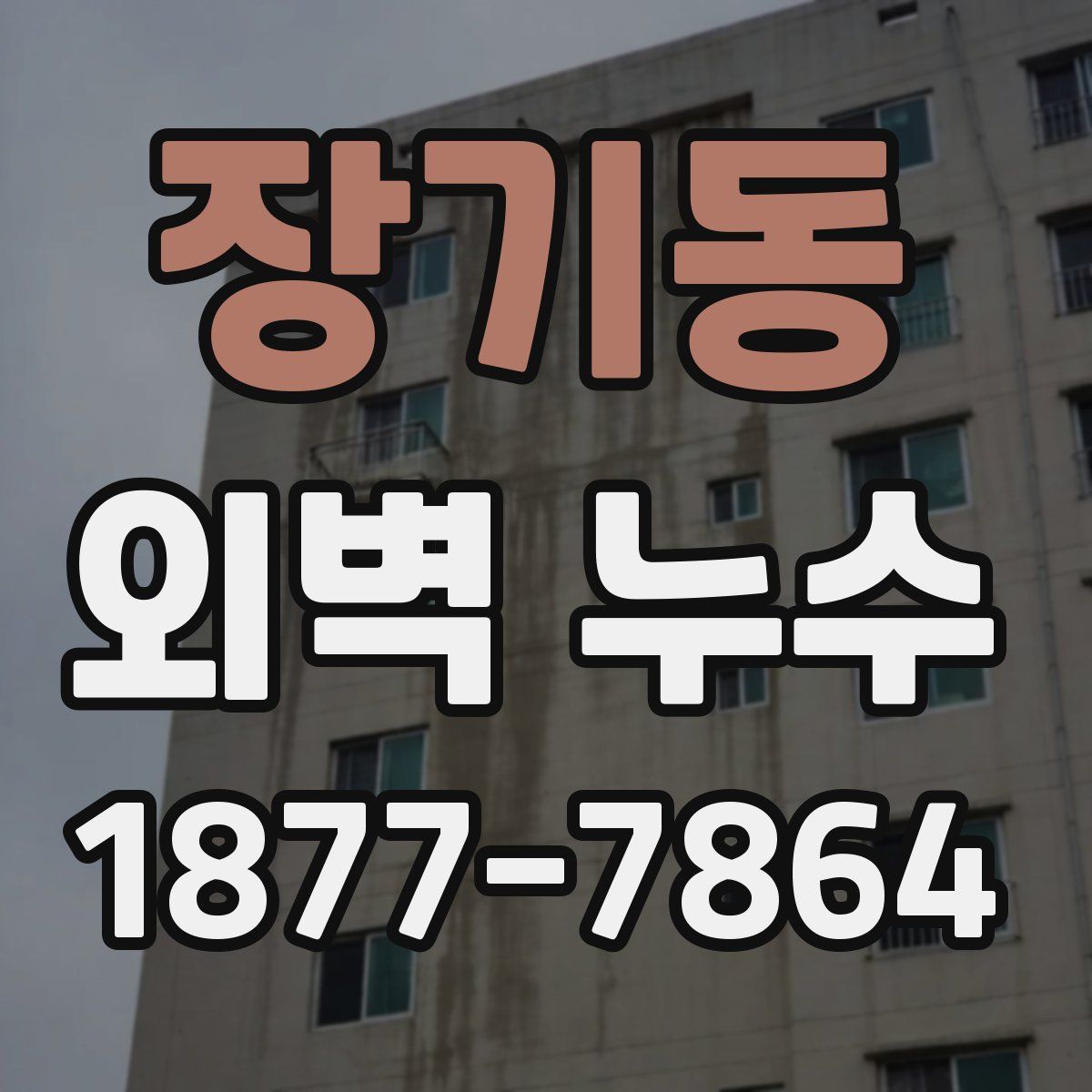 장기동 외벽 누수