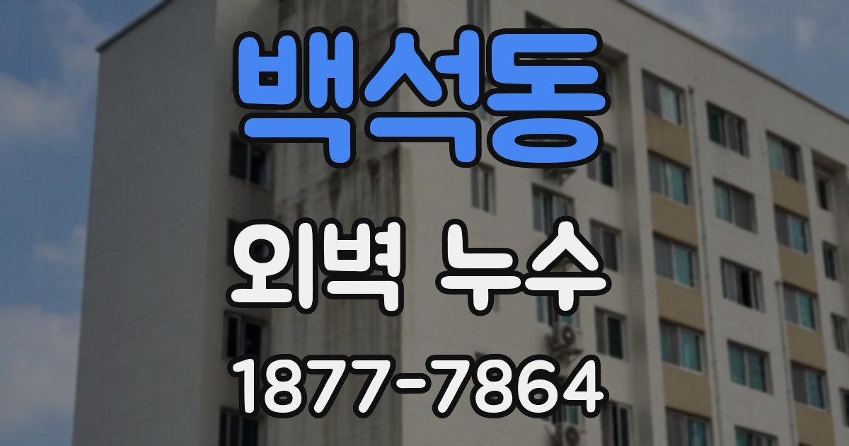 백석동 외벽 누수