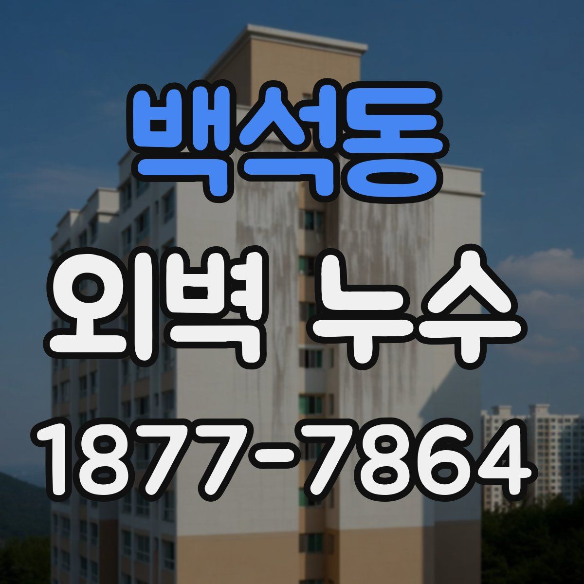 백석동 외벽 누수