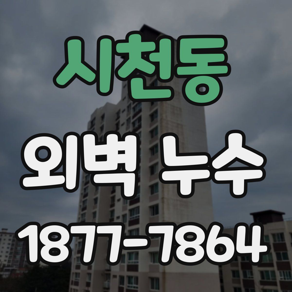 시천동 외벽 누수