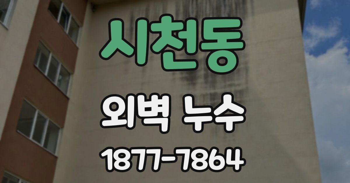 시천동 외벽 누수