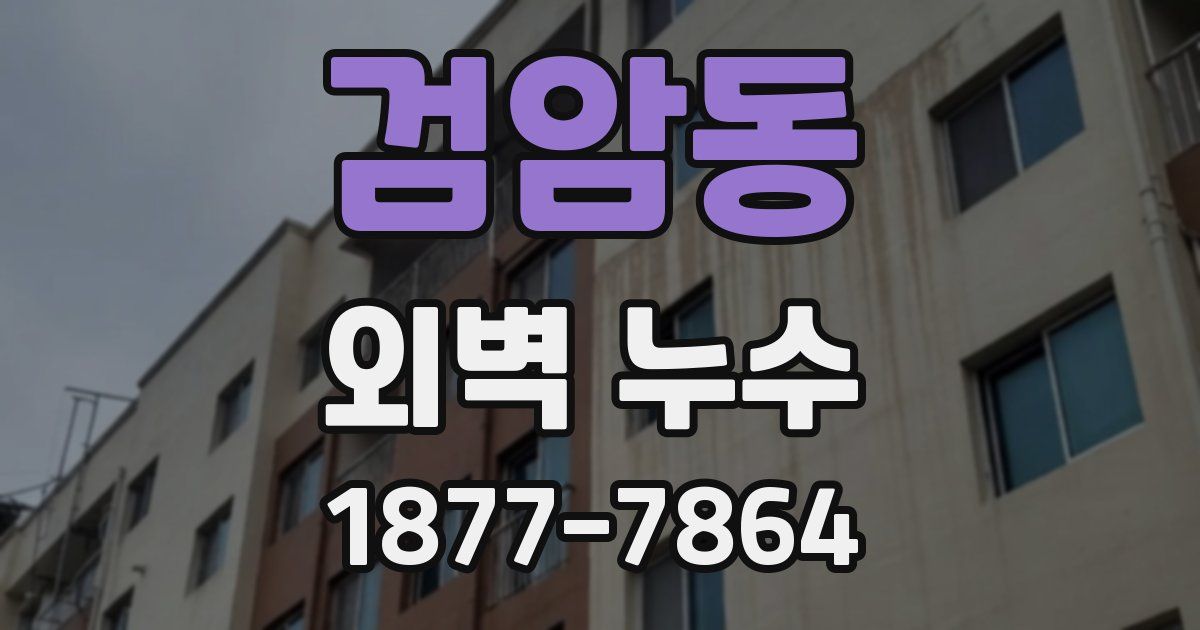 검암동 외벽 누수