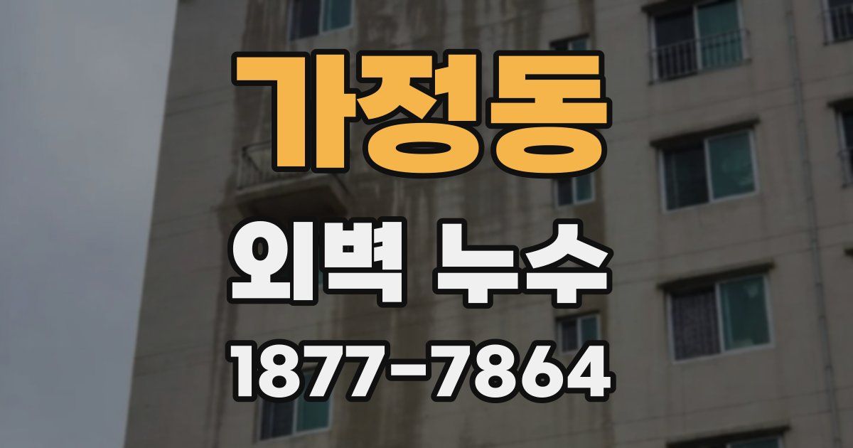 가정동 외벽 누수