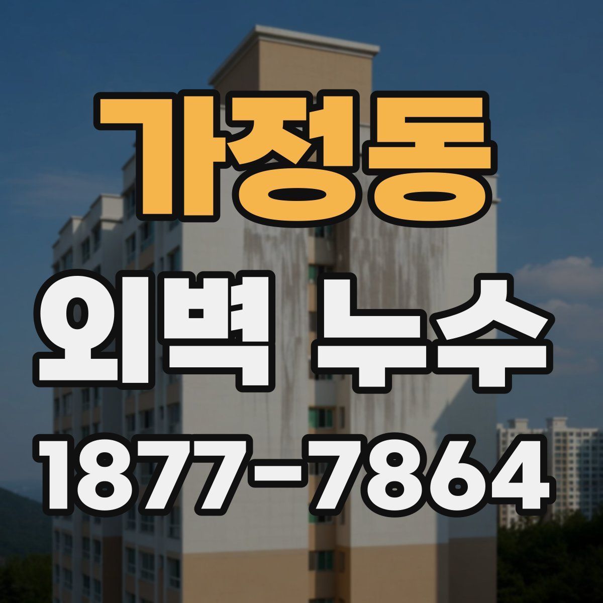 가정동 외벽 누수