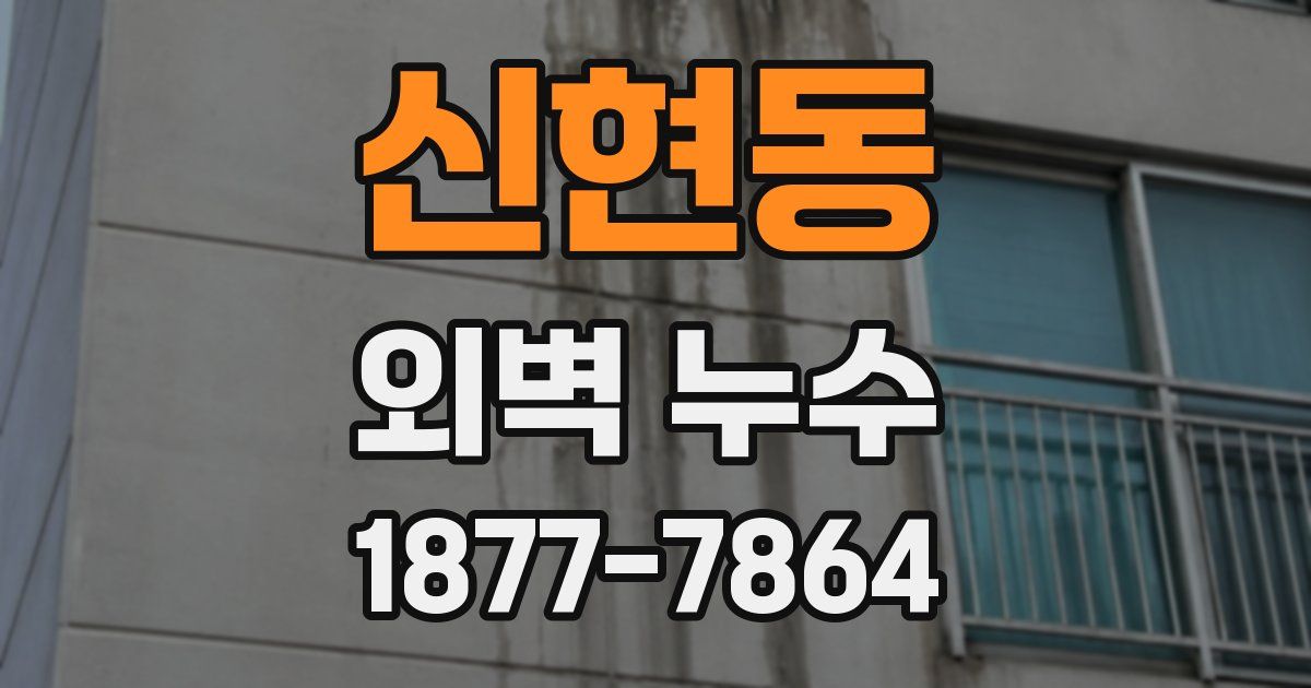 신현동 외벽 누수