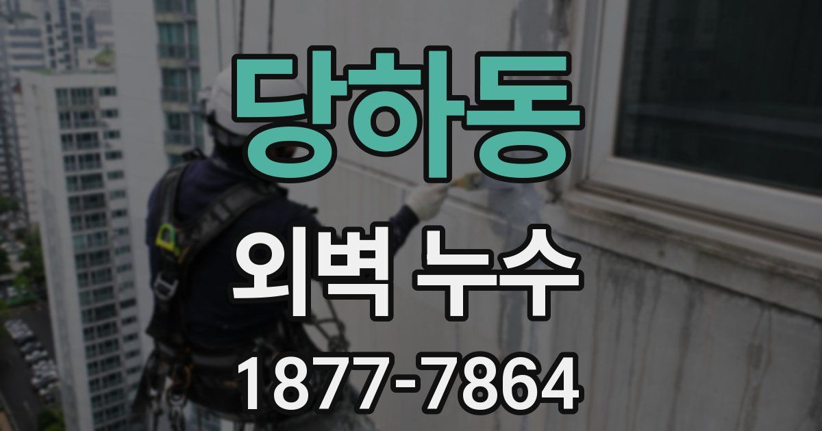 당하동 외벽 누수