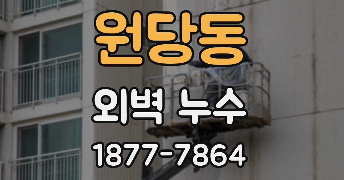 원당동 외벽 누수