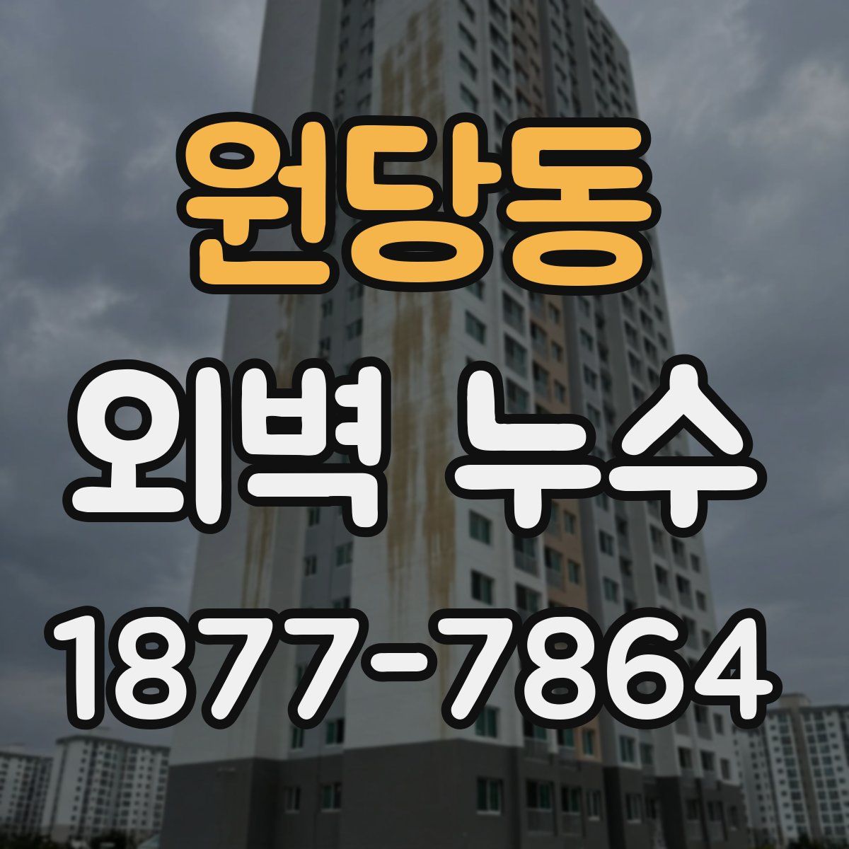 원당동 외벽 누수