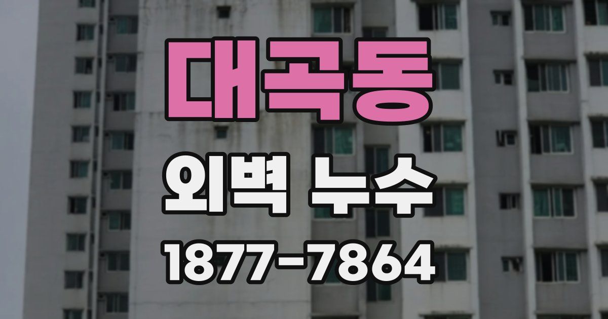 대곡동 외벽 누수