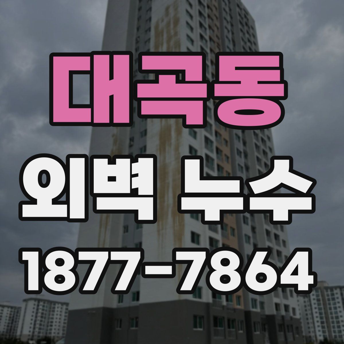 대곡동 외벽 누수