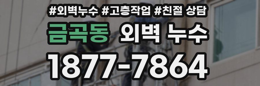 금곡동 외벽 누수