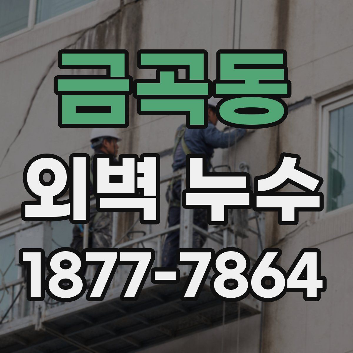 금곡동 외벽 누수