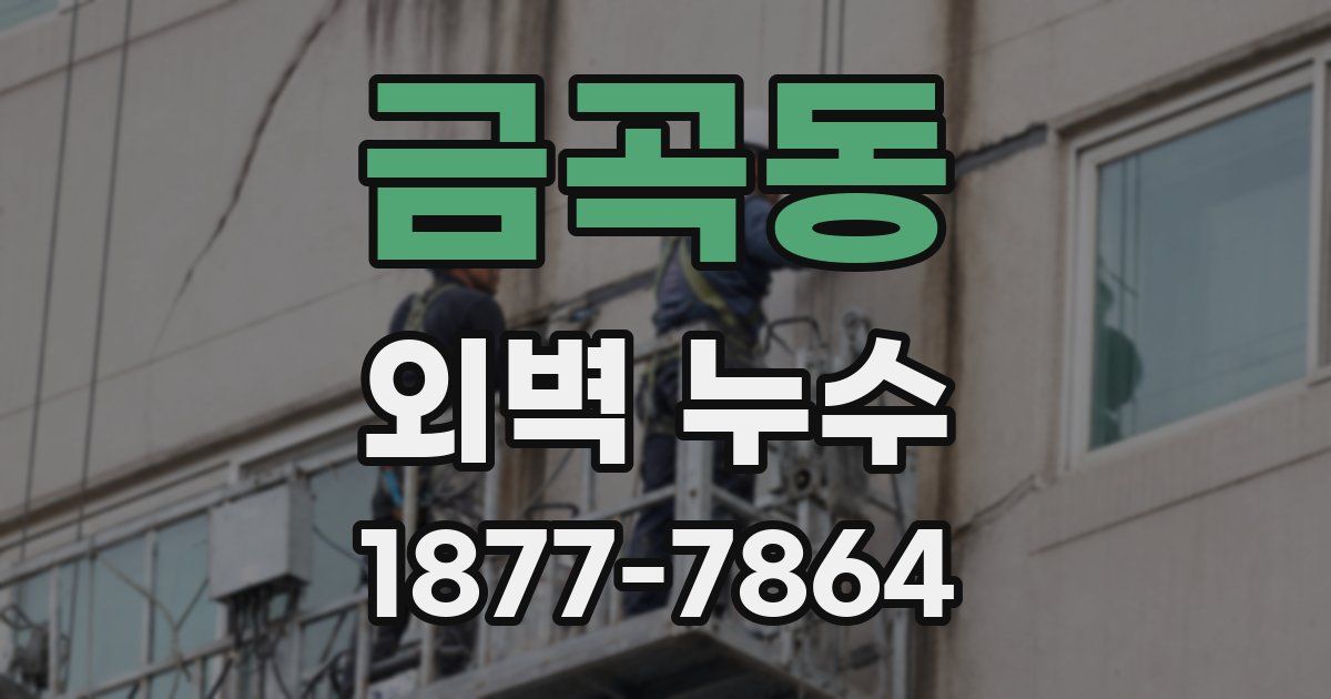 금곡동 외벽 누수