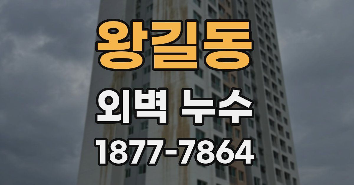 왕길동 외벽 누수