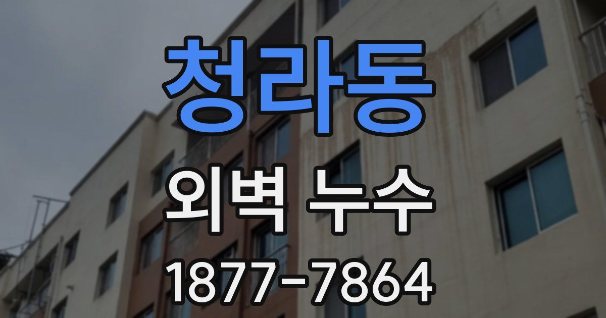청라동 외벽 누수