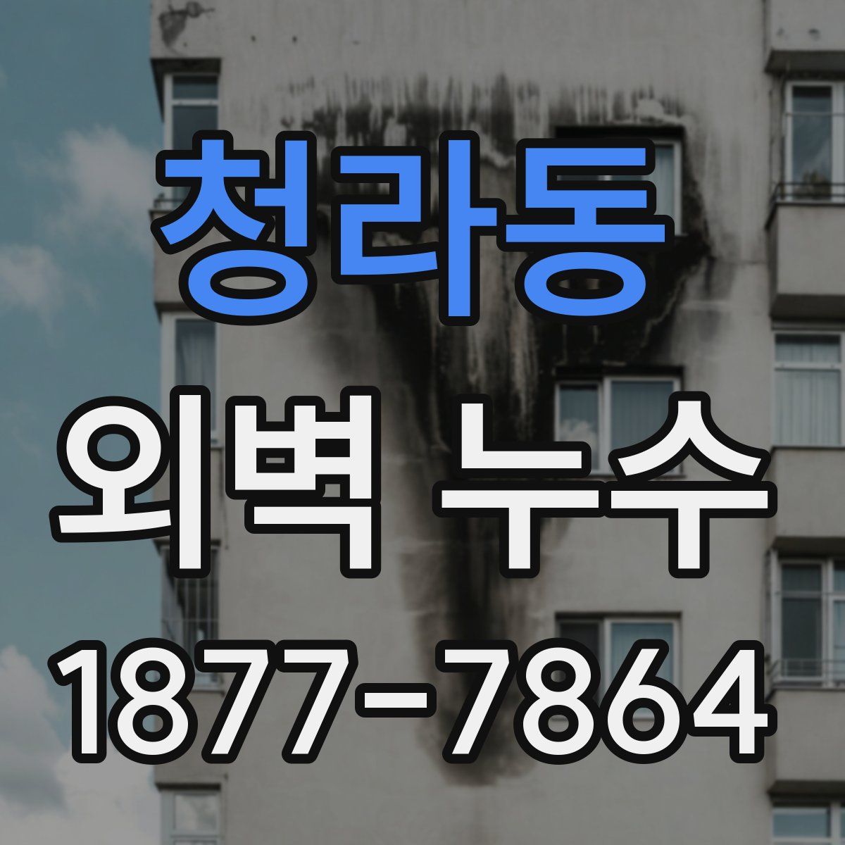 청라동 외벽 누수