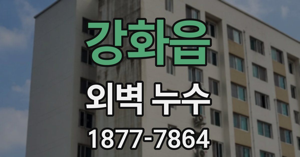강화읍 외벽 누수