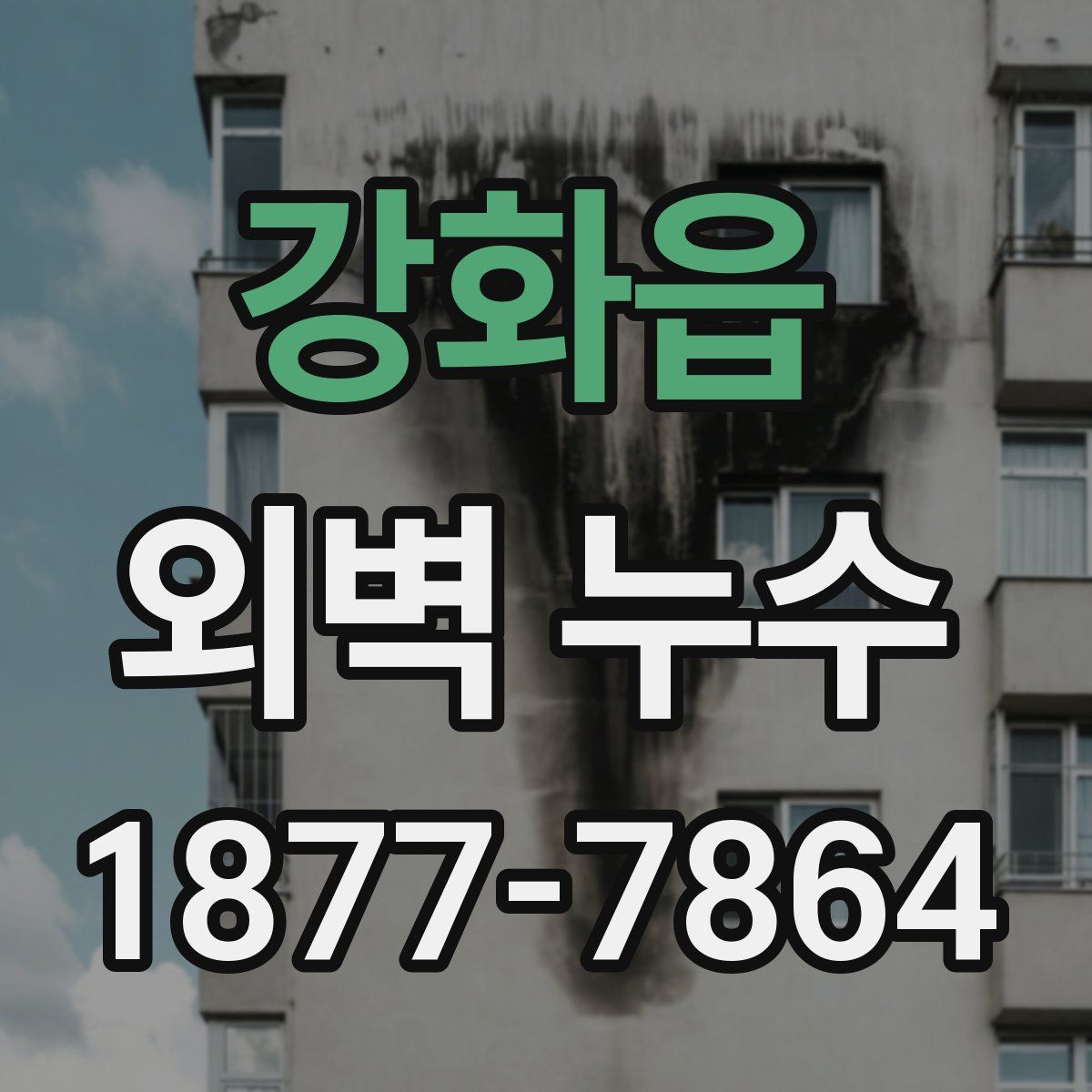 강화읍 외벽 누수