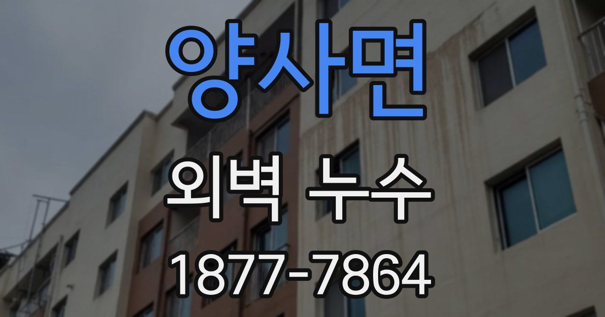 양사면 외벽 누수