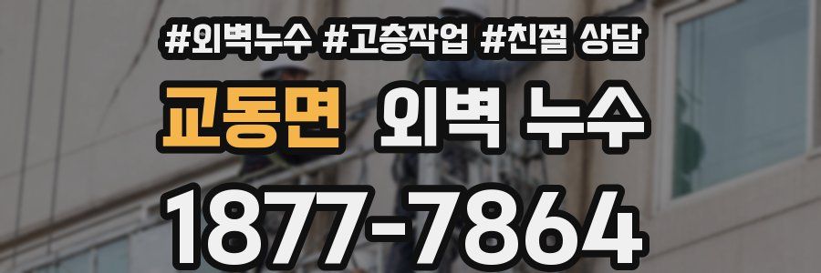 교동면 외벽 누수