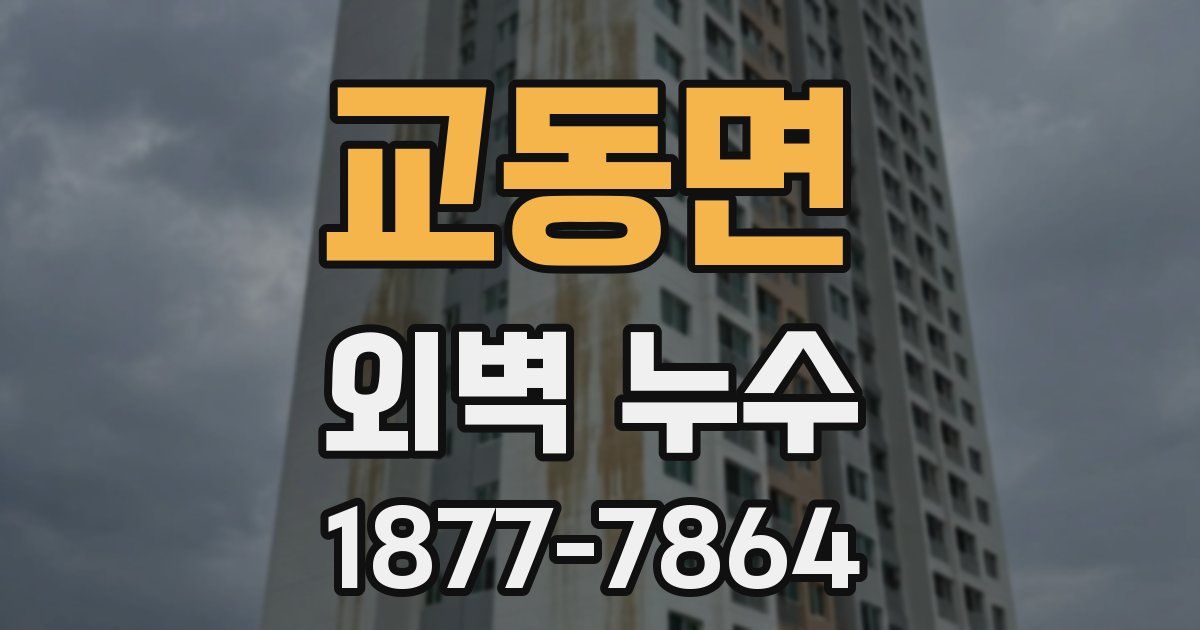 교동면 외벽 누수