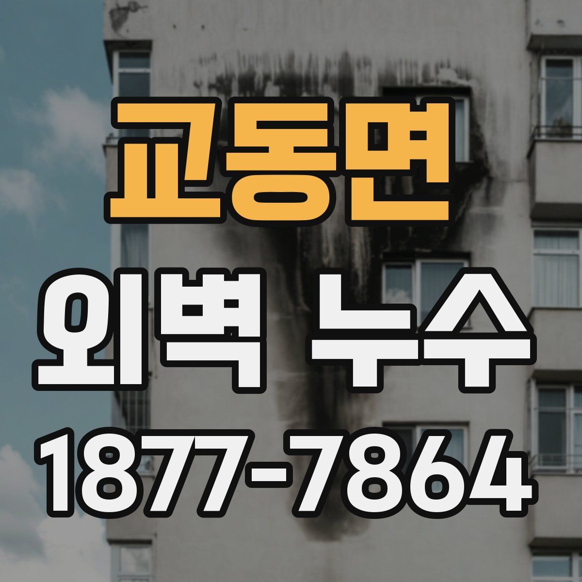 교동면 외벽 누수