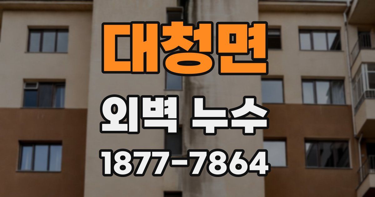 대청면 외벽 누수