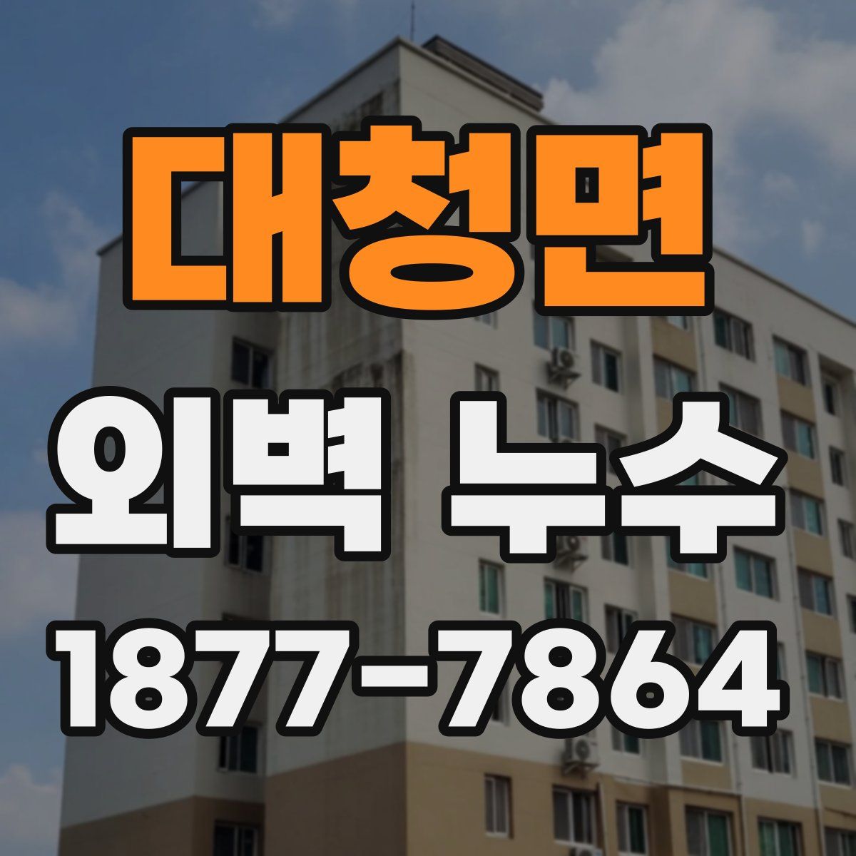 대청면 외벽 누수