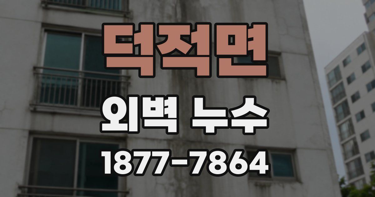 덕적면 외벽 누수